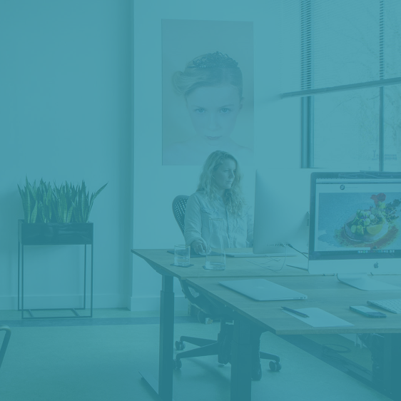 Web Design &  Development 